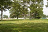 DSC00051