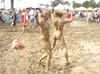 DSC00171