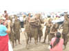 DSC00175