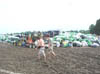 DSC00178