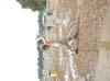 DSC00209