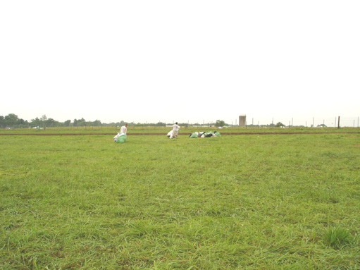 DSC00269