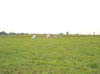 DSC00269