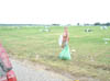 DSC00307