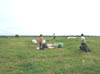 DSC00310