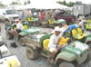 DSC00329