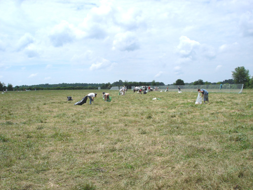 DSC00403