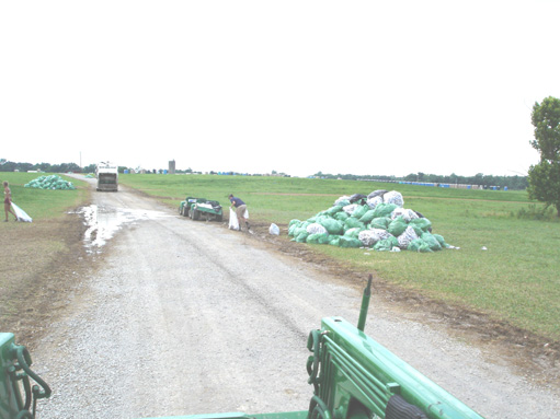 DSC00437