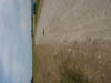 DSC00386