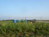 DSC00402