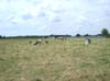DSC00403