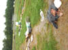 DSC00462