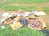 DSC00463